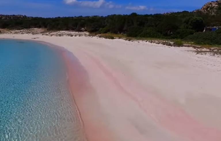 Sardegna, nell'isola di Budelli la meravigliosa "spiaggia ...