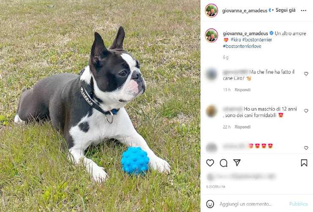 eccellenze-meridionali-amadeus-giovanna-civitillo-nuovo-arrivo-in-famiglia