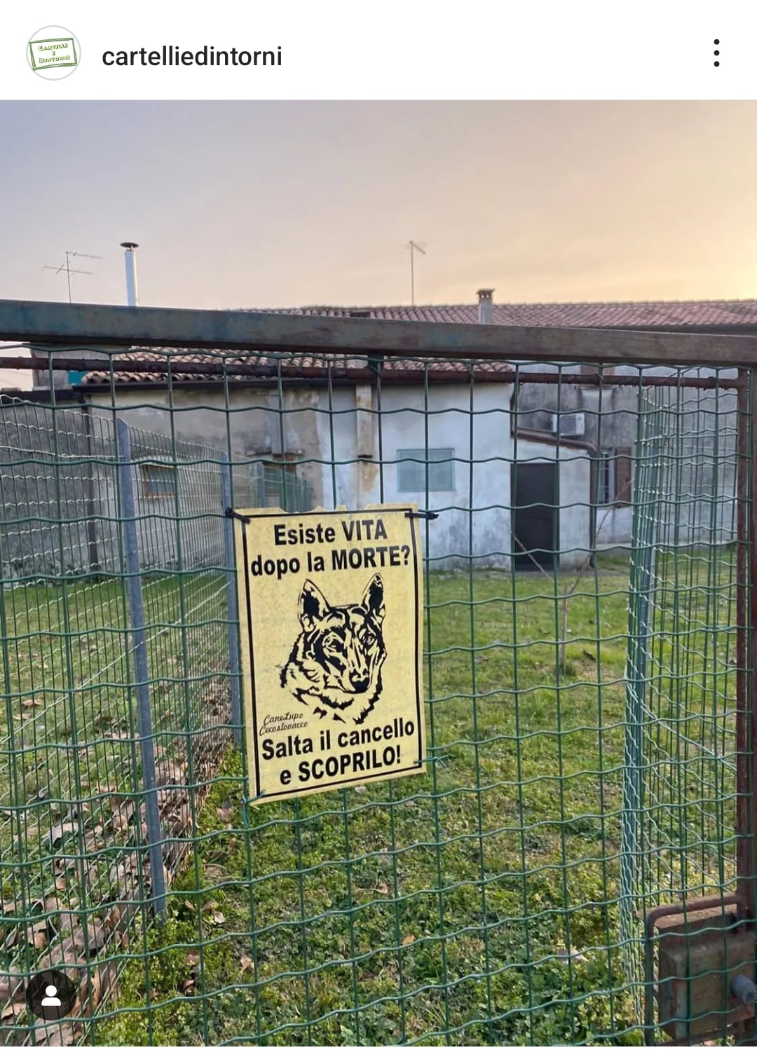 Targa Metallo 'Attenti Al Cane' Pitbull - 20x15 Cm Personalizzabile Con Foto - Foto 10