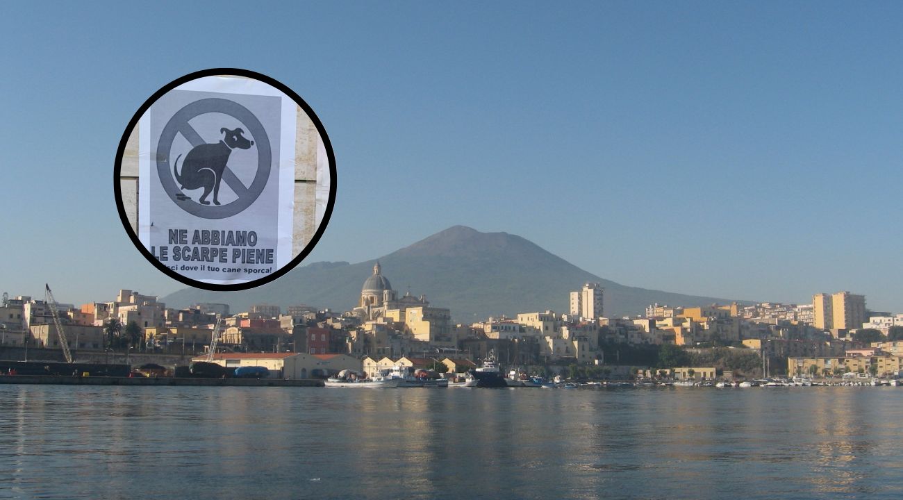 Napoli cartello cani