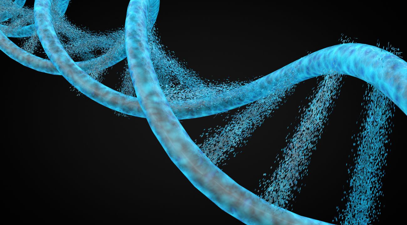 Per colpa di un test del DNA, una coppia si è sfasciata.