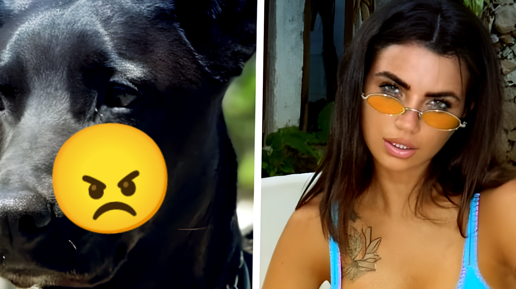 Eleonora Rocchini e il cane malato: un gesto di cuore che scatena una tempesta