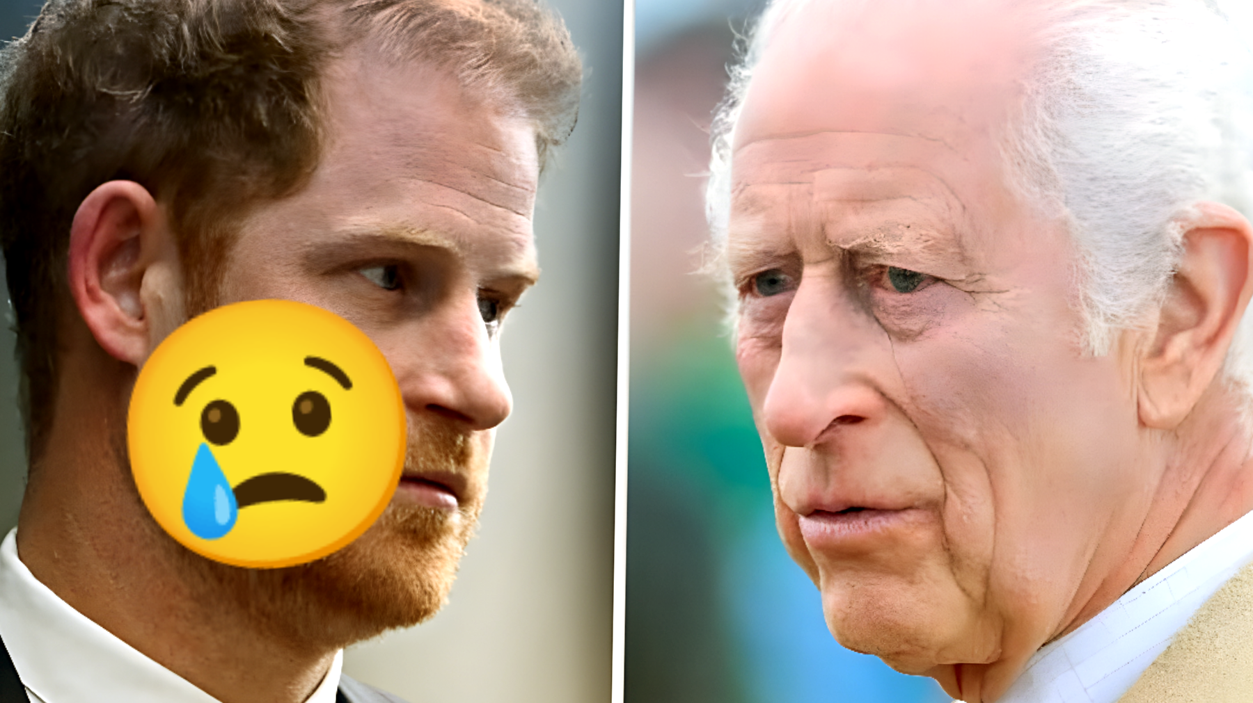 Scoperta shock tra Re Carlo ed Harry: "Un gesto forzato", la rivelazione sconvolgente che nessuno si aspettava