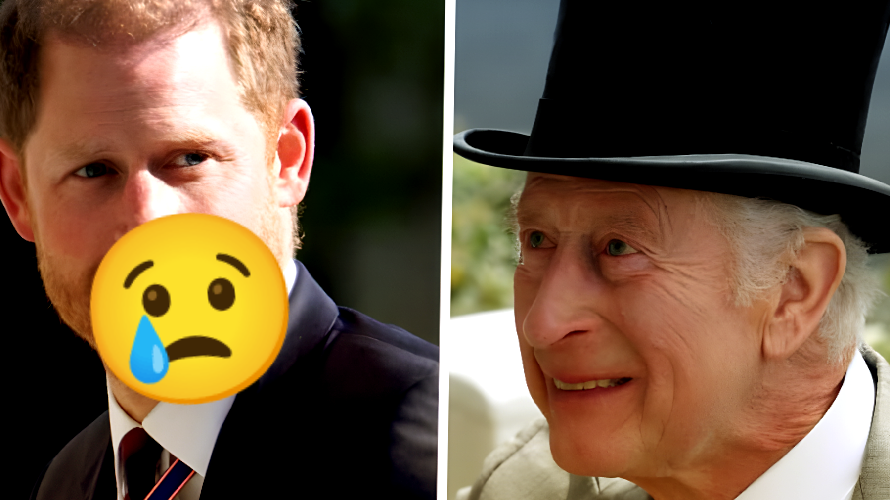 Re Carlo e il "grave peccato" di Harry: "Per questo ha chiuso la porta"