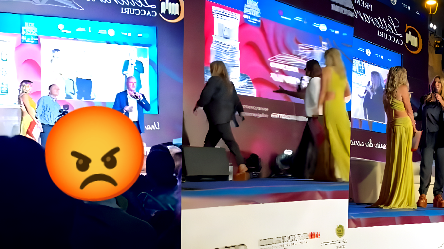 Lucarelli abbandona il palco del Premio Caccuri infuriata: "Mi hanno trattato come una cretina" - Cosa è scattato con Nuzzi?
