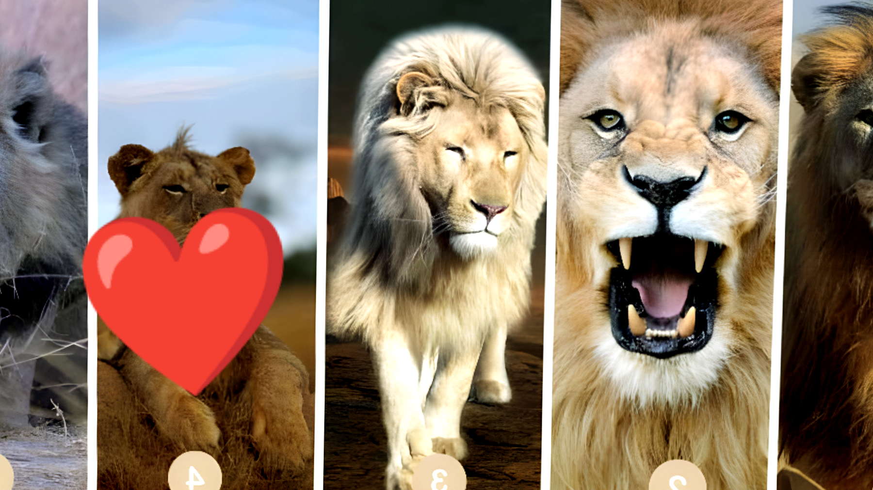 Scopri quale leone sceglieresti e ti diremo chi è il partner perfetto per te!