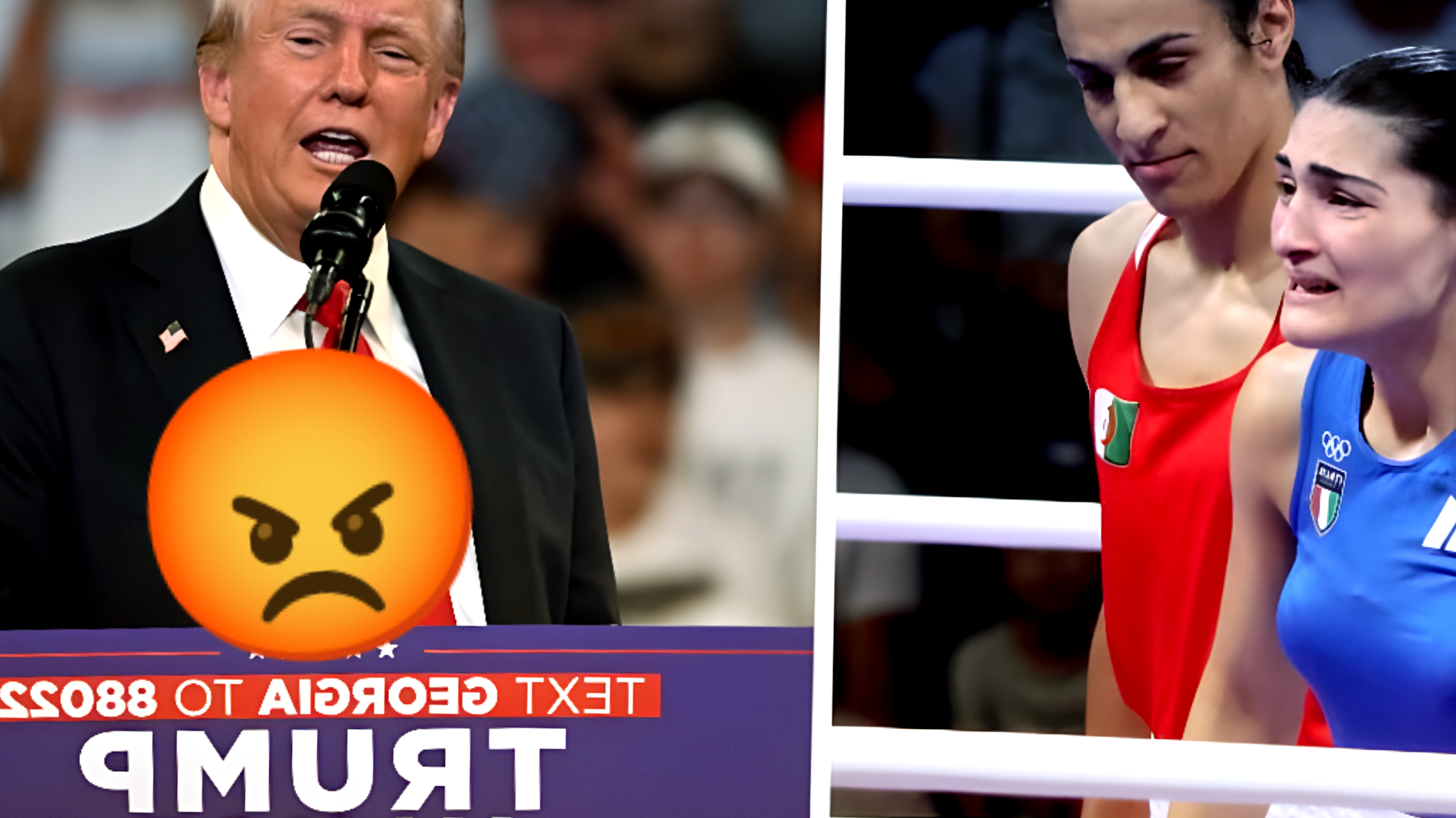 Angela Carini e lo scontro sul ring che ha scatenato Trump: "Un bravo pugile uomo" contro di lei, e la medaglia...